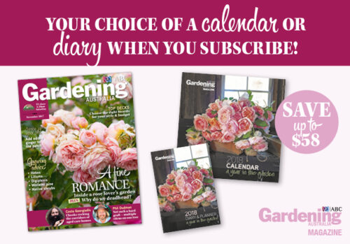 November 2017 Issue - Subscribe