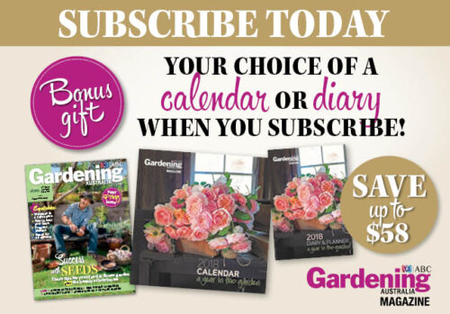 Bonus Gift - Calendar or diary choice