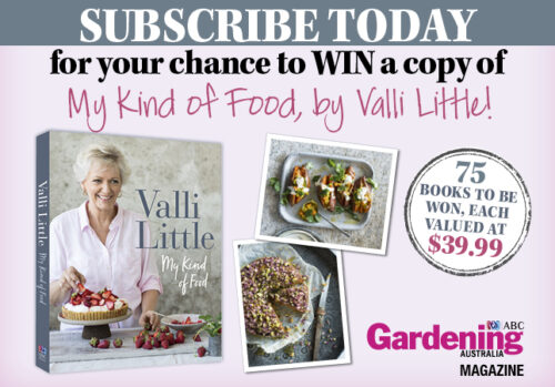 WIN one of 75 Valli Little recipe books, worth $39.99 each!