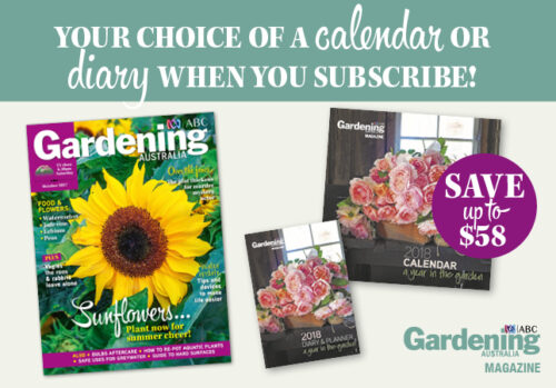 October 2017 Issue - Subscribe