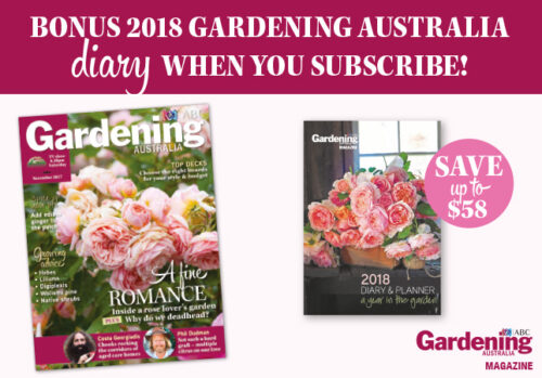 November 2017 Issue - Subscribe