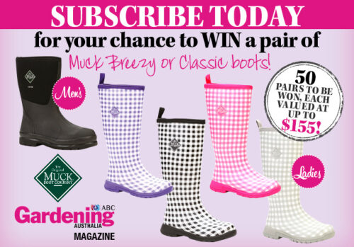 Chance to win muck boots