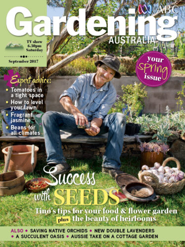 September Cover