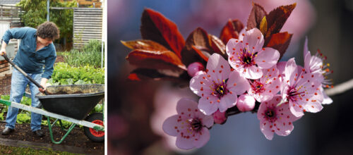 Expand your gardening horizons with the August issue