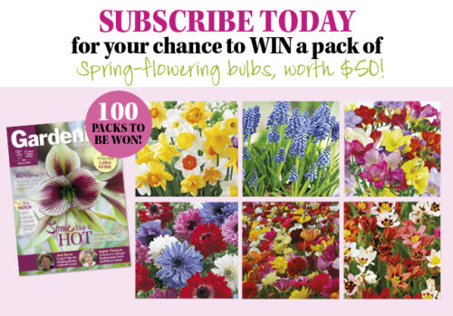 Subscribe - March 2018 Issue
