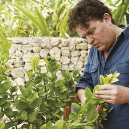Josh and fruit tree