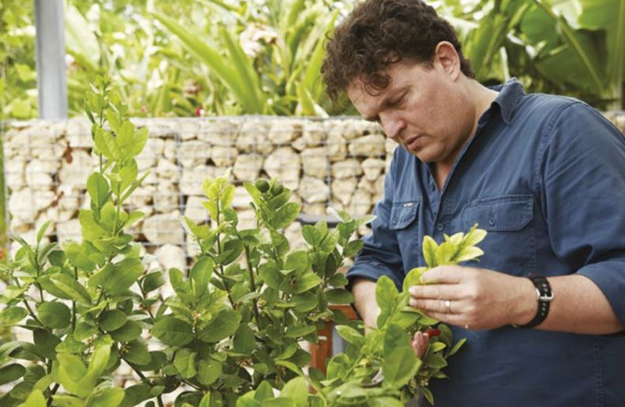 Josh and fruit tree
