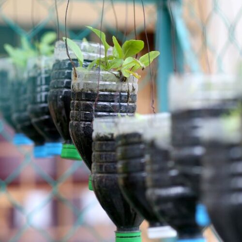 Top recycling tips for gardeners Recycle and re-use plastic bottles for plants
