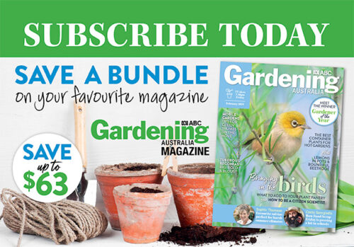 Subs MREC issue Feb 2019