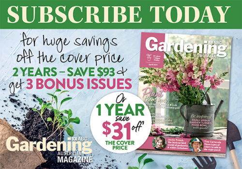 Subscribe Today issue April 2019