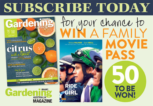 Subscribe to Win Family Movies Pass