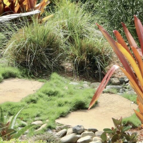 grass between pavers