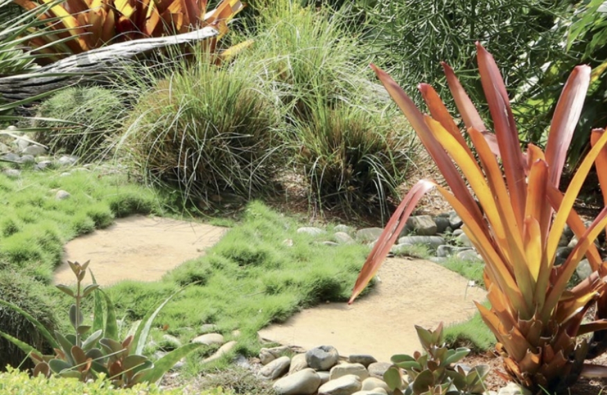 grass between pavers
