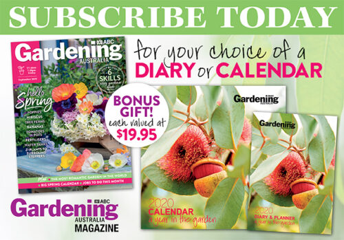 Subscribe for your choice of Diary or Calendar