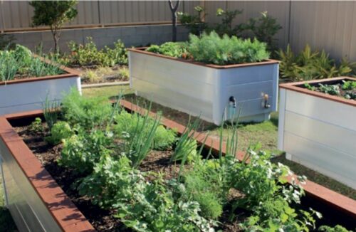 Wicking bed