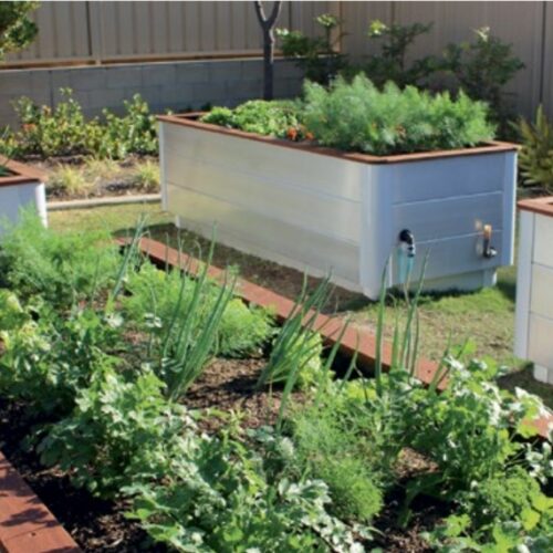 Wicking bed