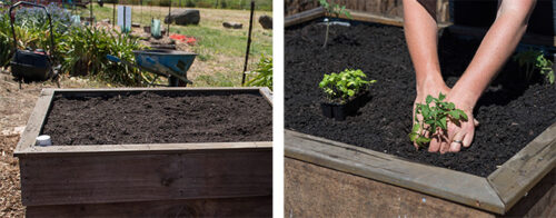 Wicking Beds