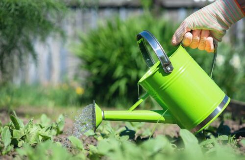 Watering can