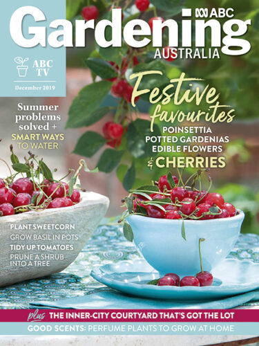 Cover December issue 2019