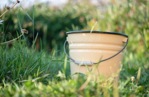 Bucket in garden