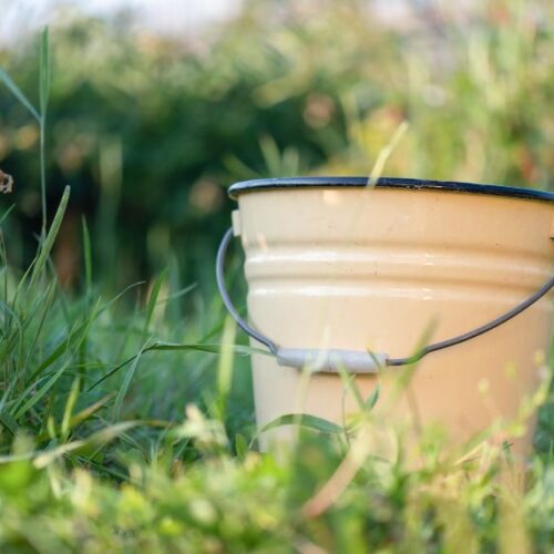How to use greywater Bucket in garden