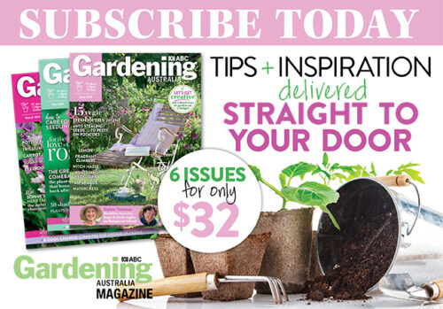 Subscribe to June 2020 issue