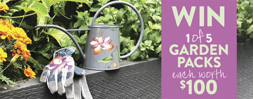 Win a watering can and gardening gloves