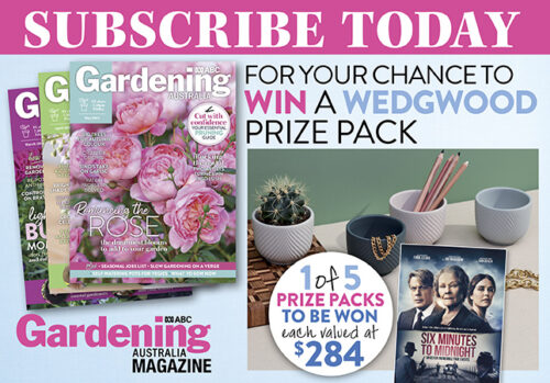 Subscriptions May 2021