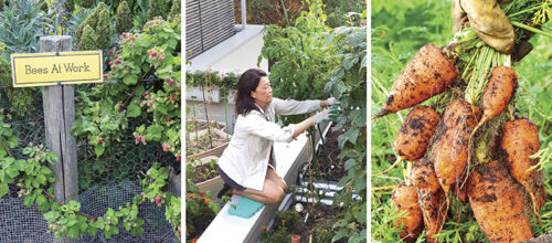 Home Page Banner - June Issue
