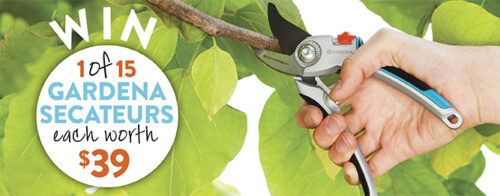Win a pair of secateurs