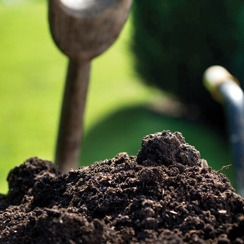 What’s the difference? Manure