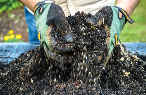 Potting mix