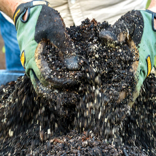 Potting mix