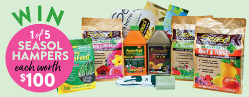Win a Seasol hamper