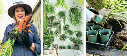 Home Page Banner - September Issue