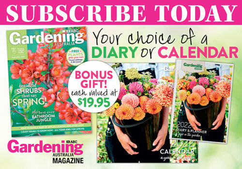 Subscriptions Offer September 2021
