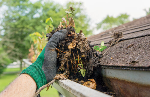 Prepare your garden for summer