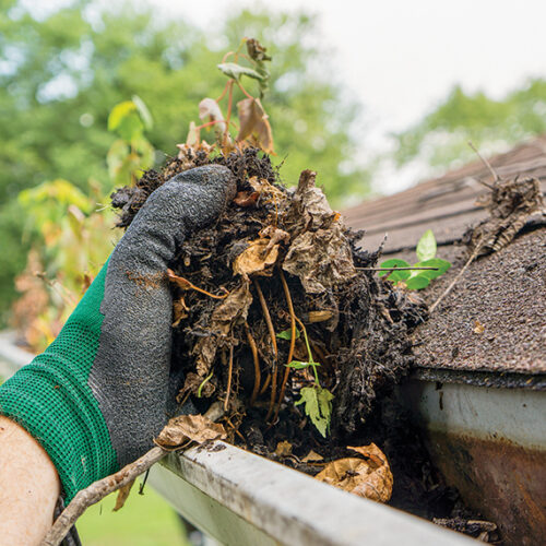 Beat the heat! Prepare your garden for summer