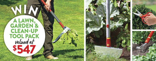 Win a Wolf-Garten lawn, garden & clean-up tool pack