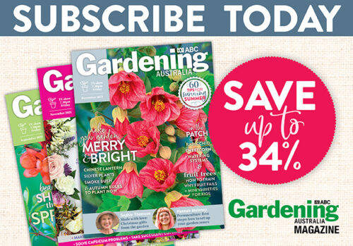 New subscription