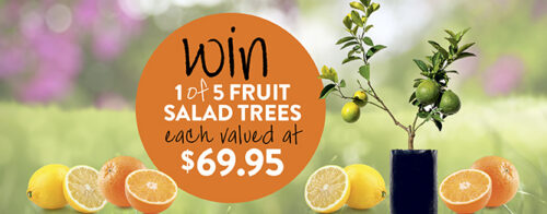 Win one of five fruit salad trees