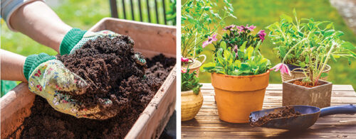 Revive your potting mix