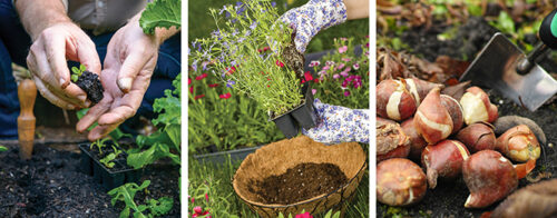 10 jobs to do in the garden in April 