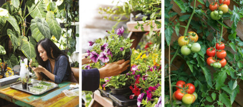 Home page banner September Issue
