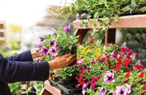 Spring garden