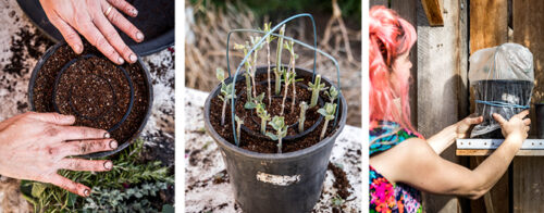 Clever multi-pot propagation