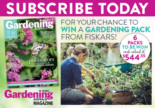 Subscribe offer Nov