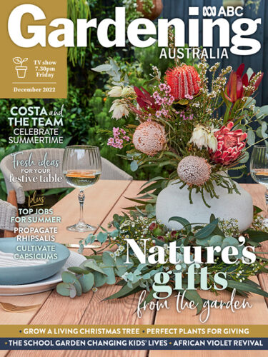 Dec 2022 cover
