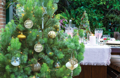 Living Christmas tree