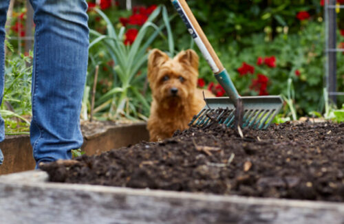 Compost